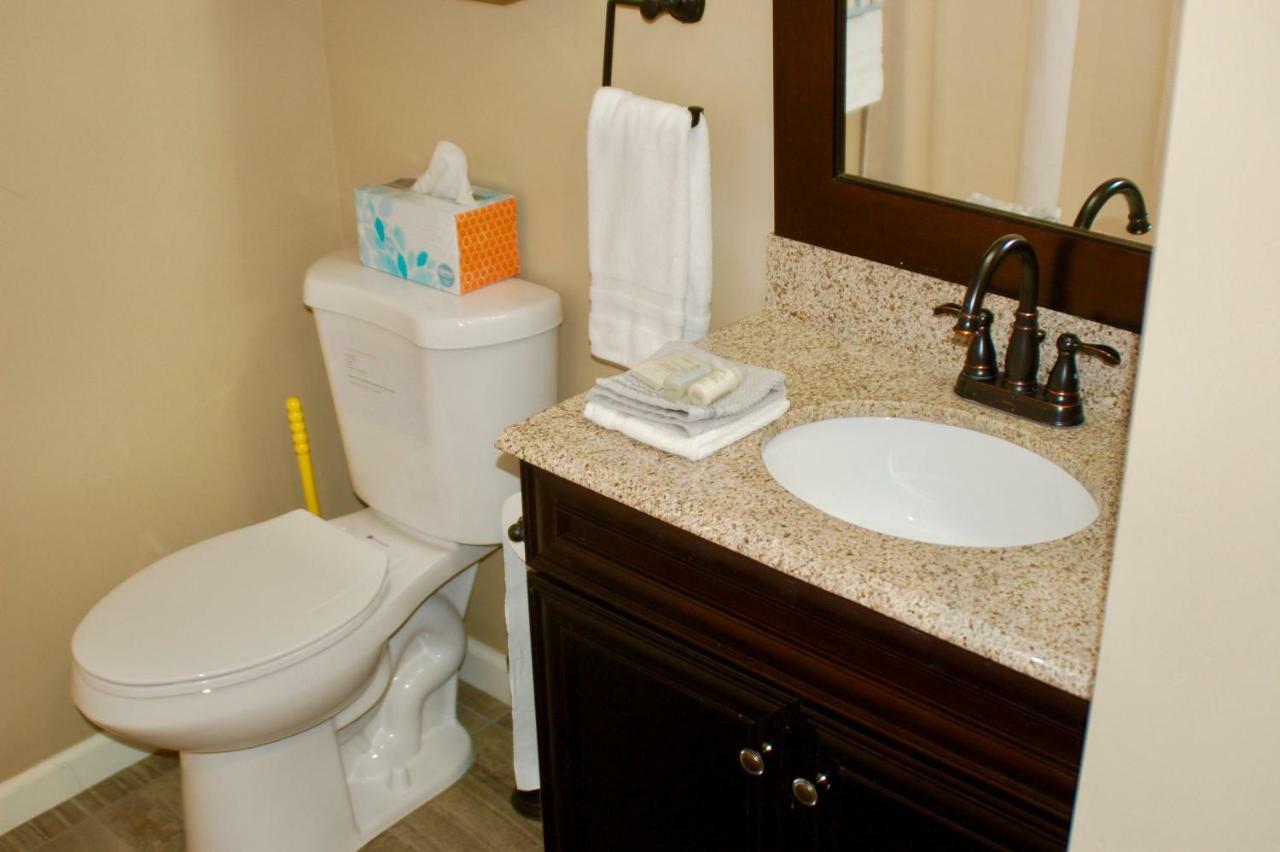 Blue Bear Den 3Br 2Ba Dtc Private Apt Hot Tub Bagian luar foto
