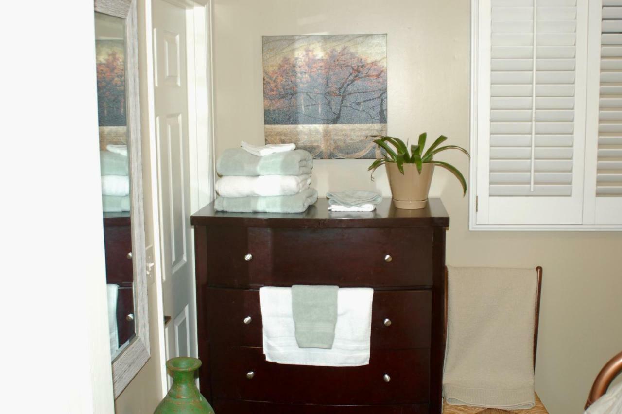 Blue Bear Den 3Br 2Ba Dtc Private Apt Hot Tub Bagian luar foto