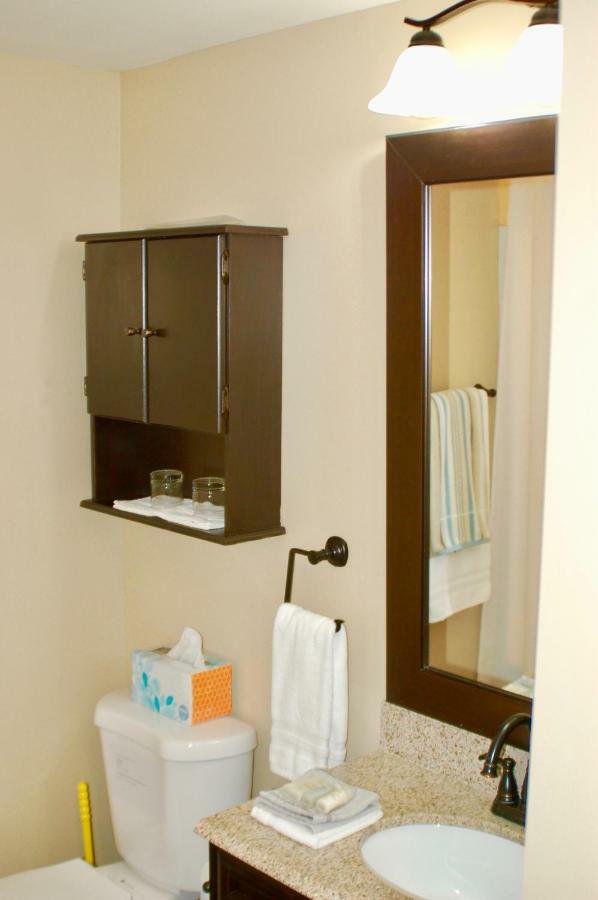 Blue Bear Den 3Br 2Ba Dtc Private Apt Hot Tub Bagian luar foto