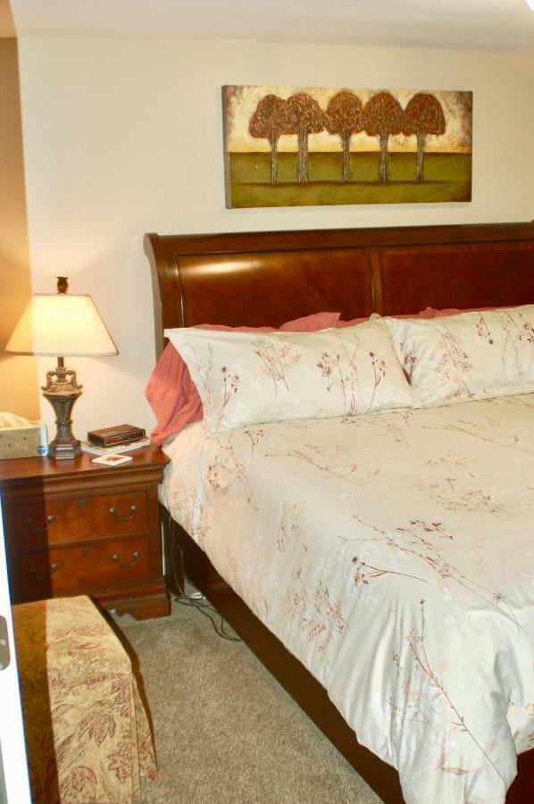 Blue Bear Den 3Br 2Ba Dtc Private Apt Hot Tub Bagian luar foto